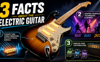 3 facts about the electric guitar